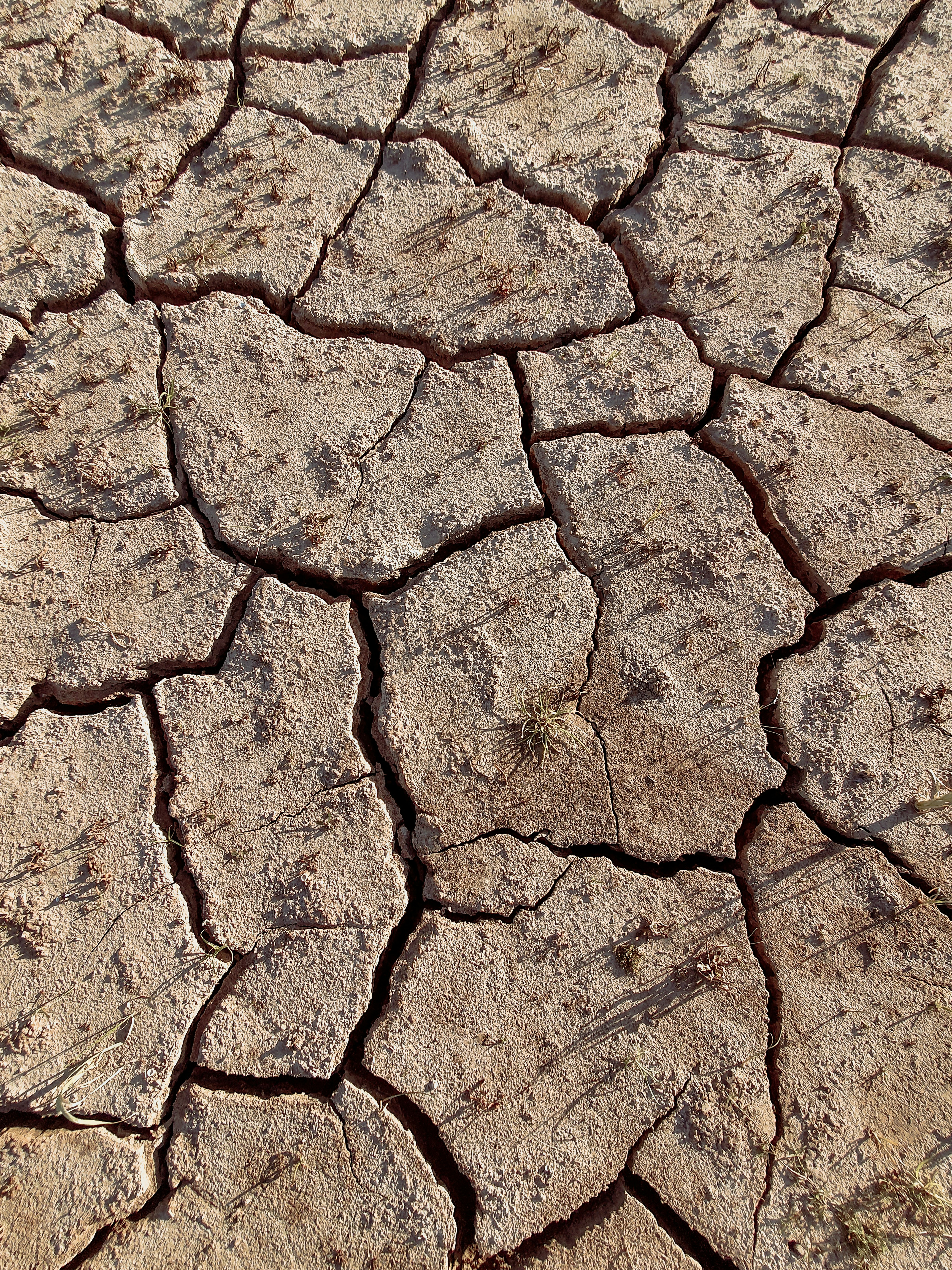 Concepts,Design and Implementation of the Integrated Approach of  Climate-Smart Villages (CSV)