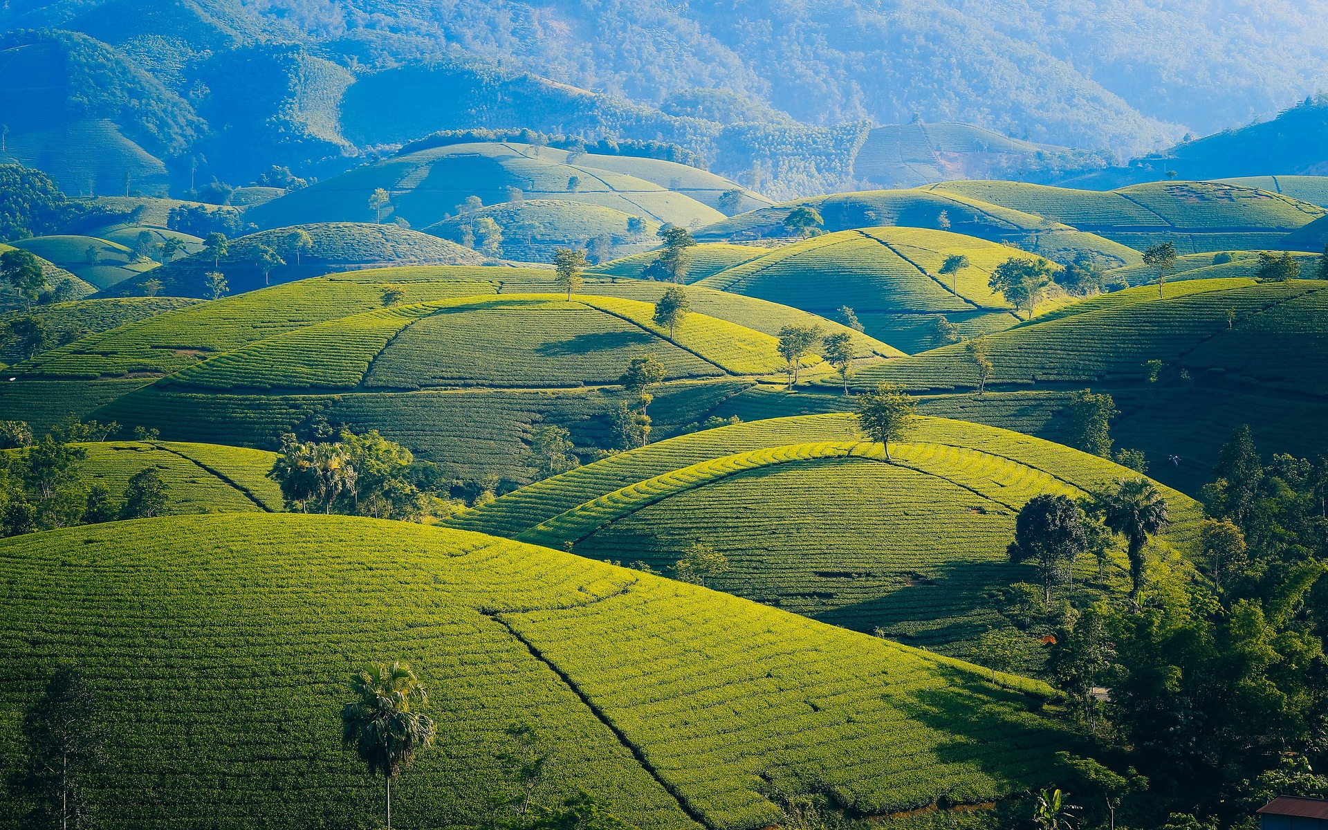 Climate change Vulnerability Assessment