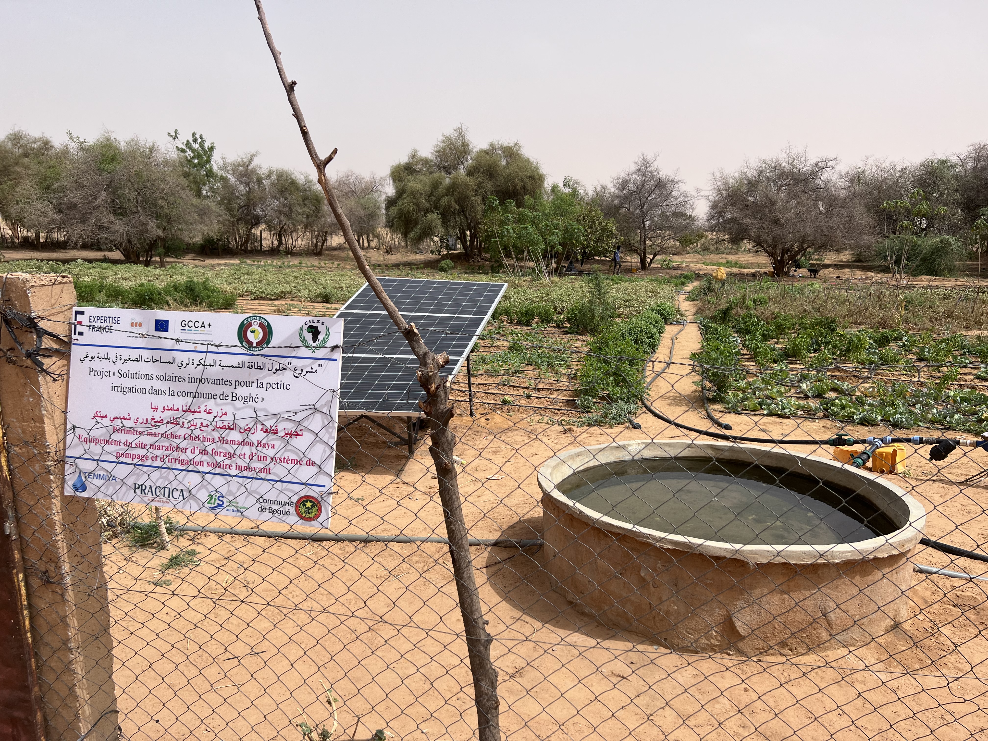 Learning from pilot projects for better adaptation to climate change in West Africa