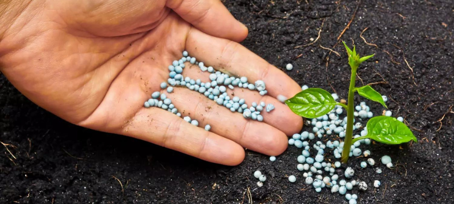 Fertilizer and Soil Health in West Africa: ECOWAS Consults Stakeholders of the Sector