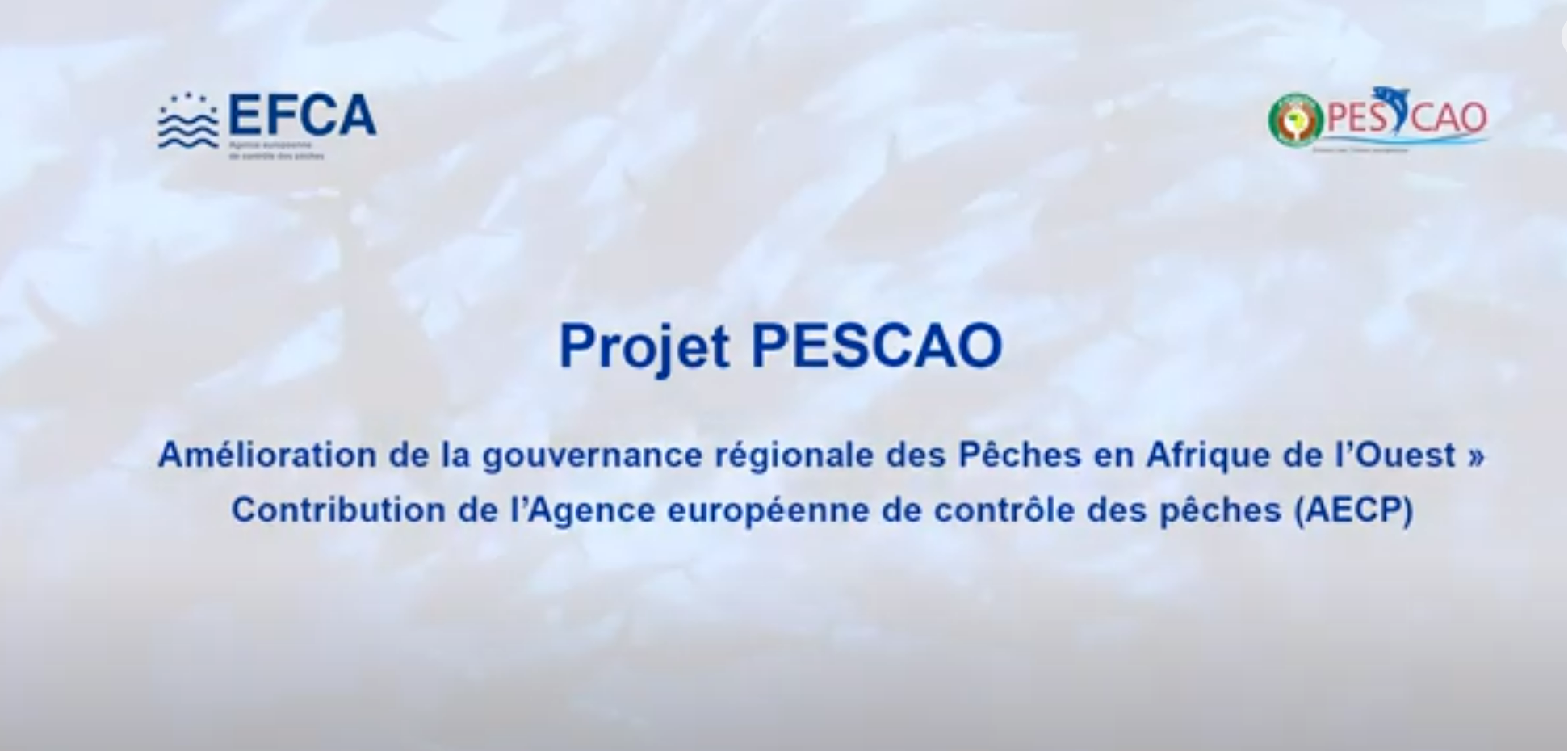 Improved regional fisheries governance in western Africa (PESCAO)
